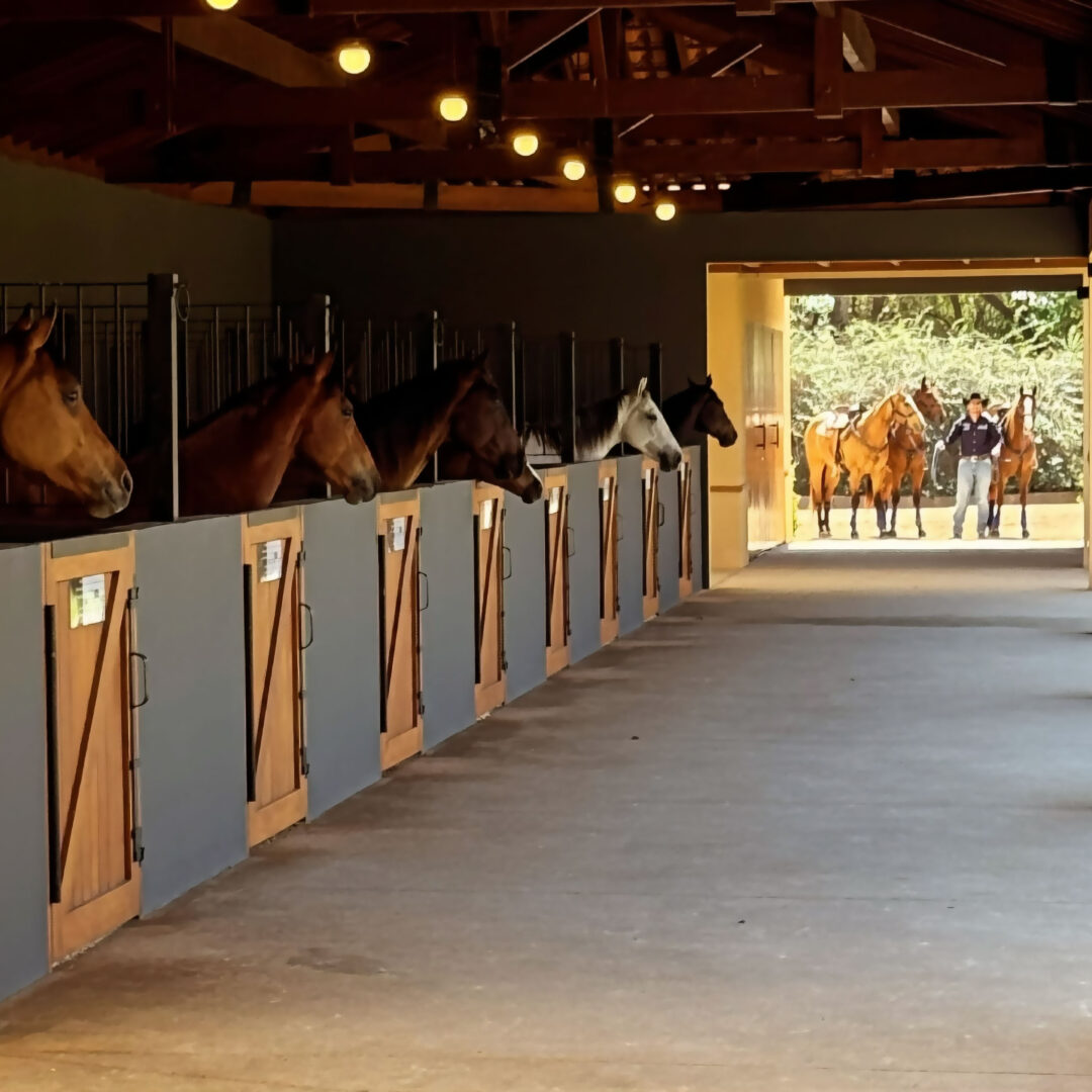 Haras Nossa Sra Das Gracas